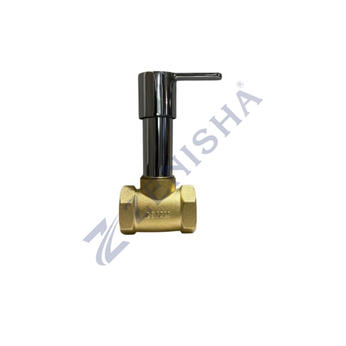 Flush Valve With Flange